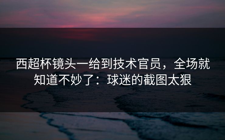 西超杯镜头一给到技术官员，全场就知道不妙了：球迷的截图太狠